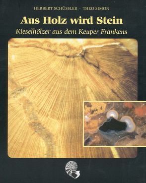 Aus Holz wird Stein von Amelingmeier,  Eckard, Bartholomä,  Alfred, Fohrer,  Erwin, Kelber,  Klaus P, Nikel,  Siegfried, Oehm,  D, Schüssler,  Herbert, Simon,  Theo, Wiedmann,  Karl