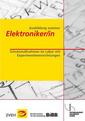 Ausbildung zum/zur Elektroniker/in / Ausbildung zum/zur Elektroniker/in von Dunkhase,  Uwe, Petermann,  Detlef