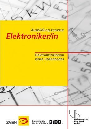 Ausbildung zum/zur Elektroniker/in / Ausbildung zum/zur Elektroniker/in von Boy,  Hans-Günter, Voigt,  Henk