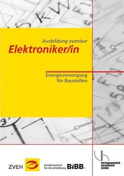 Ausbildung zum/zur Elektroniker/in / Ausbildung zum/zur Elektroniker/in von Boy,  Hans-Günter, Maske,  Dirk