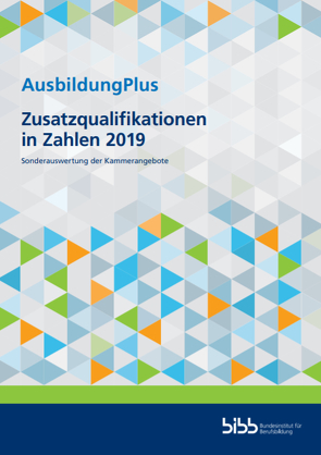 AusbildungPlus – Zusatzqualifikationen in Zahlen 2019 von Dörsam,  Michael, Gülkaya,  Ülkü, Hemkes,  Barbara, Hofmann,  Silvia, König,  Maik, Kutzner,  Petra, Martin,  Kim-Maureen