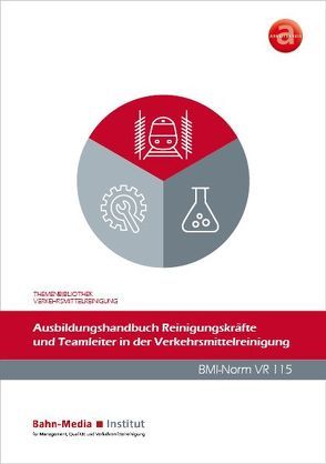 Ausbildungshandbuch Reinigungskräfte und Teamleiter in der Verkehrsmittelreinigung von Höft,  Uwe, Wiechel-Kramüller,  Christian