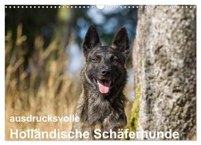 ausdrucksvolle Holländische Schäferhunde (Wandkalender 2024 DIN A3 quer), CALVENDO Monatskalender von Verena Scholze,  Fotodesign