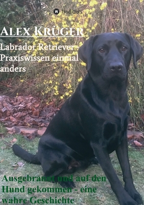 Ausgebrannt und auf den Hund gekommen – eine wahre Geschichte von Krüger,  Alex