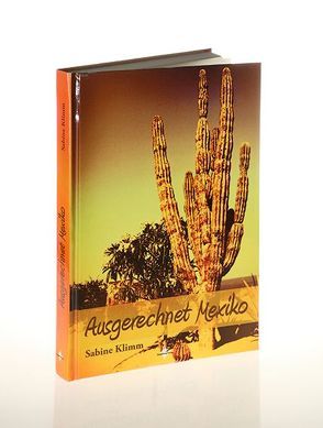 Ausgerechnet Mexiko von Die Marktfotografen, Klimm,  Sabine, Spiegelberg Verlag