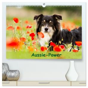 Aussie-Power (hochwertiger Premium Wandkalender 2024 DIN A2 quer), Kunstdruck in Hochglanz von Mayer,  Andrea
