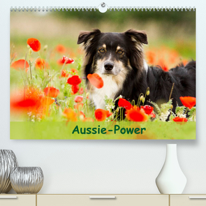 Aussie-Power (Premium, hochwertiger DIN A2 Wandkalender 2023, Kunstdruck in Hochglanz) von Mayer,  Andrea