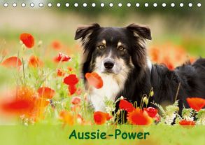 Aussie-Power (Tischkalender 2020 DIN A5 quer) von Mayer,  Andrea