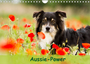 Aussie-Power (Wandkalender 2023 DIN A4 quer) von Mayer,  Andrea