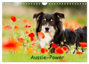 Aussie-Power (Wandkalender 2024 DIN A4 quer), CALVENDO Monatskalender von Mayer,  Andrea