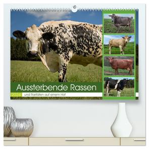 Aussterbende Rassen und Raritäten (hochwertiger Premium Wandkalender 2024 DIN A2 quer), Kunstdruck in Hochglanz von Renné,  Heidi