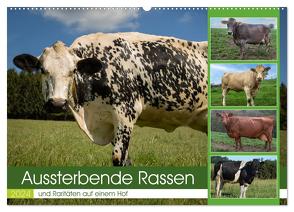 Aussterbende Rassen und Raritäten (Wandkalender 2024 DIN A2 quer), CALVENDO Monatskalender von Renné,  Heidi