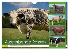 Aussterbende Rassen und Raritäten (Wandkalender 2024 DIN A4 quer), CALVENDO Monatskalender von Renné,  Heidi