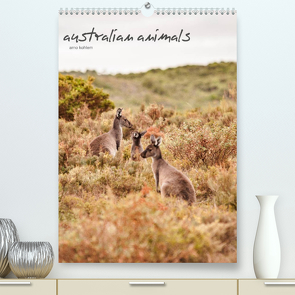 australian animals (Premium, hochwertiger DIN A2 Wandkalender 2023, Kunstdruck in Hochglanz) von Kohlem,  Arno