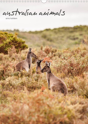 australian animals (Wandkalender 2023 DIN A3 hoch) von Kohlem,  Arno