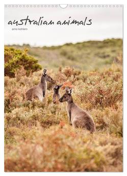 australian animals (Wandkalender 2024 DIN A3 hoch), CALVENDO Monatskalender von Kohlem,  Arno