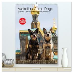 Australian Cattle Dogs auf der Darmstädter Mathildenhöhe (hochwertiger Premium Wandkalender 2024 DIN A2 hoch), Kunstdruck in Hochglanz von Verena Scholze,  Fotodesign