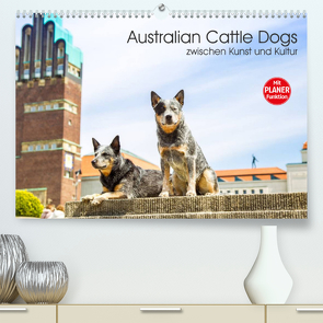 Australian Cattle Dogs zwischen Kunst und Kultur (Premium, hochwertiger DIN A2 Wandkalender 2022, Kunstdruck in Hochglanz) von Verena Scholze,  Fotodesign