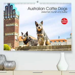 Australian Cattle Dogs zwischen Kunst und Kultur (Premium, hochwertiger DIN A2 Wandkalender 2023, Kunstdruck in Hochglanz) von Verena Scholze,  Fotodesign