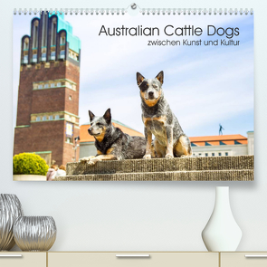 Australian Cattle Dogs zwischen Kunst und Kultur (Premium, hochwertiger DIN A2 Wandkalender 2023, Kunstdruck in Hochglanz) von Verena Scholze,  Fotodesign