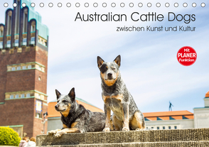 Australian Cattle Dogs zwischen Kunst und Kultur (Tischkalender 2021 DIN A5 quer) von Verena Scholze,  Fotodesign