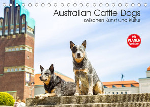 Australian Cattle Dogs zwischen Kunst und Kultur (Tischkalender 2023 DIN A5 quer) von Verena Scholze,  Fotodesign