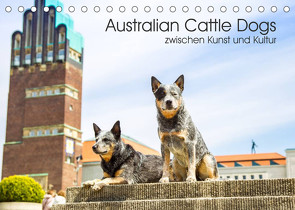 Australian Cattle Dogs zwischen Kunst und Kultur (Tischkalender 2023 DIN A5 quer) von Verena Scholze,  Fotodesign