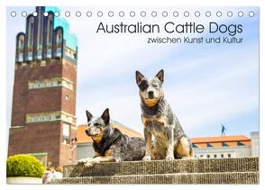 Australian Cattle Dogs zwischen Kunst und Kultur (Tischkalender 2024 DIN A5 quer), CALVENDO Monatskalender von Verena Scholze,  Fotodesign