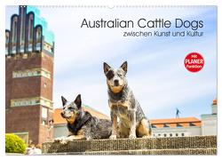 Australian Cattle Dogs zwischen Kunst und Kultur (Wandkalender 2024 DIN A2 quer), CALVENDO Monatskalender von Verena Scholze,  Fotodesign