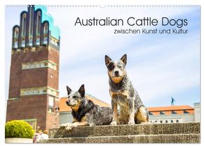 Australian Cattle Dogs zwischen Kunst und Kultur (Wandkalender 2024 DIN A2 quer), CALVENDO Monatskalender von Verena Scholze,  Fotodesign