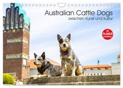 Australian Cattle Dogs zwischen Kunst und Kultur (Wandkalender 2024 DIN A4 quer), CALVENDO Monatskalender von Verena Scholze,  Fotodesign