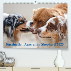 Australian Shepherd 2023 (Premium, hochwertiger DIN A2 Wandkalender 2023, Kunstdruck in Hochglanz) von Mirsberger,  Annett