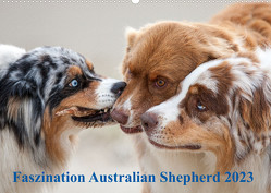 Australian Shepherd 2023 (Wandkalender 2023 DIN A2 quer) von Mirsberger,  Annett