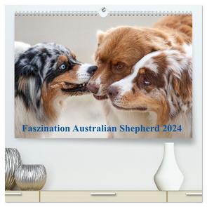 Australian Shepherd 2024 (hochwertiger Premium Wandkalender 2024 DIN A2 quer), Kunstdruck in Hochglanz von Mirsberger,  Annett