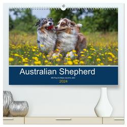 Australian Shepherd 2024 (hochwertiger Premium Wandkalender 2024 DIN A2 quer), Kunstdruck in Hochglanz von Mirsberger,  Annett