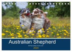 Australian Shepherd 2024 (Tischkalender 2024 DIN A5 quer), CALVENDO Monatskalender von Mirsberger,  Annett