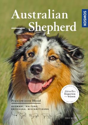 Australian Shepherd von Geist,  Rike