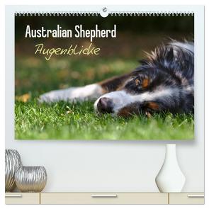 Australian Shepherd – Augenblicke (hochwertiger Premium Wandkalender 2024 DIN A2 quer), Kunstdruck in Hochglanz von Andrey,  David