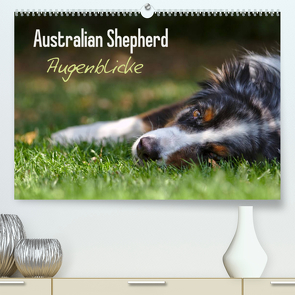 Australian Shepherd – Augenblicke (Premium, hochwertiger DIN A2 Wandkalender 2022, Kunstdruck in Hochglanz) von Andrey,  David