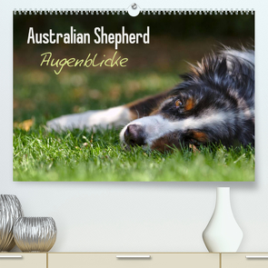 Australian Shepherd – Augenblicke (Premium, hochwertiger DIN A2 Wandkalender 2023, Kunstdruck in Hochglanz) von Andrey,  David