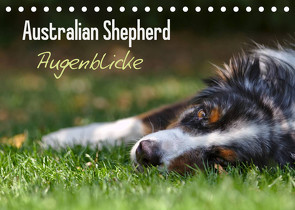 Australian Shepherd – Augenblicke (Tischkalender 2022 DIN A5 quer) von Andrey,  David