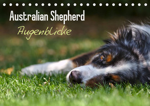 Australian Shepherd – Augenblicke (Tischkalender 2023 DIN A5 quer) von Andrey,  David