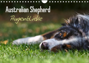 Australian Shepherd – Augenblicke (Wandkalender 2023 DIN A4 quer) von Andrey,  David