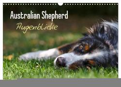 Australian Shepherd – Augenblicke (Wandkalender 2024 DIN A3 quer), CALVENDO Monatskalender von Andrey,  David