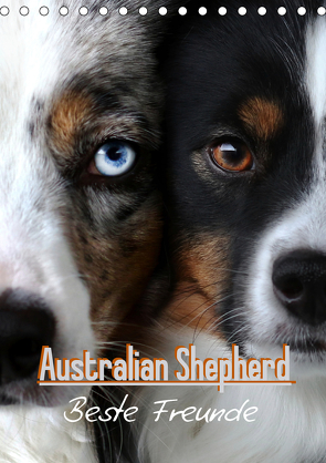 Australian Shepherd – Beste Freunde (Tischkalender 2020 DIN A5 hoch) von Youlia