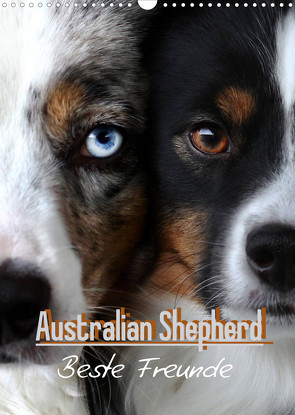 Australian Shepherd – Beste Freunde (Wandkalender 2022 DIN A3 hoch) von Youlia