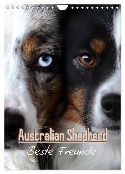 Australian Shepherd – Beste Freunde (Wandkalender 2024 DIN A4 hoch), CALVENDO Monatskalender von Youlia,  Youlia