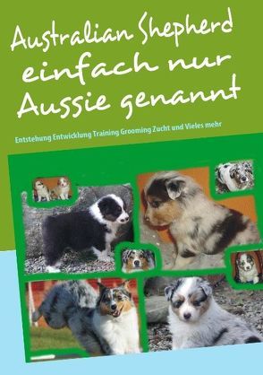 Australian Shepherd einfach nur Aussie genannt von Birkner,  Bettina