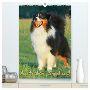 Australian Shepherd (hochwertiger Premium Wandkalender 2024 DIN A2 hoch), Kunstdruck in Hochglanz von Mielewczyk,  Barbara