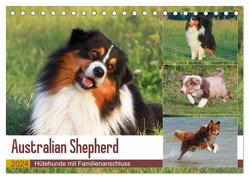 Australian Shepherd – Hütehunde mit Familienanschluss (Tischkalender 2024 DIN A5 quer), CALVENDO Monatskalender von Mielewczyk,  Barbara